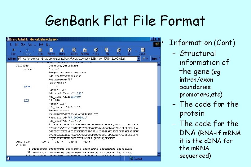 Gen. Bank Flat File Format • Information (Cont) – Structural information of the gene