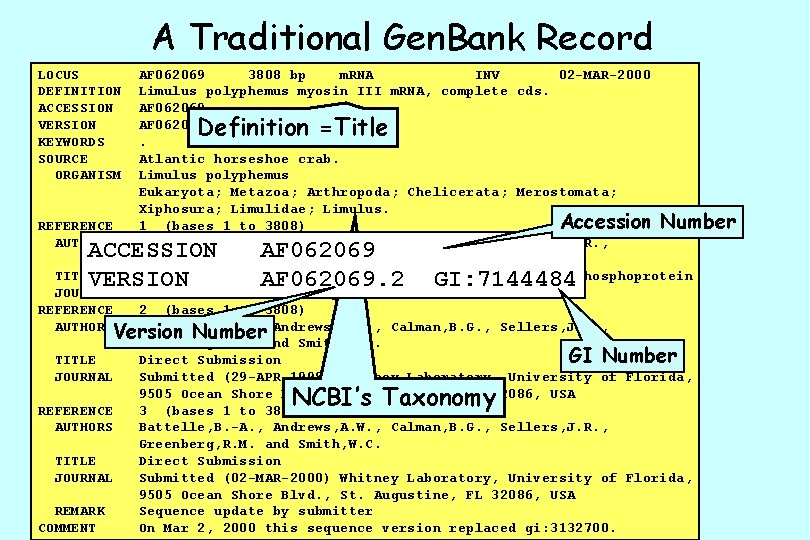 A Traditional Gen. Bank Record LOCUS DEFINITION ACCESSION VERSION KEYWORDS SOURCE ORGANISM AF 062069