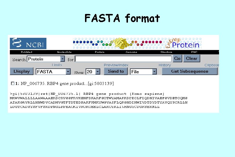 FASTA format 