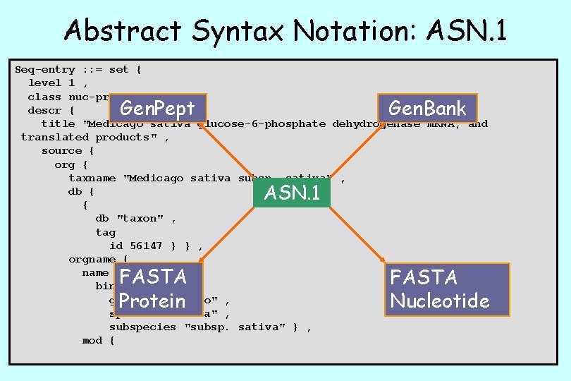Abstract Syntax Notation: ASN. 1 Seq-entry : : = set { level 1 ,