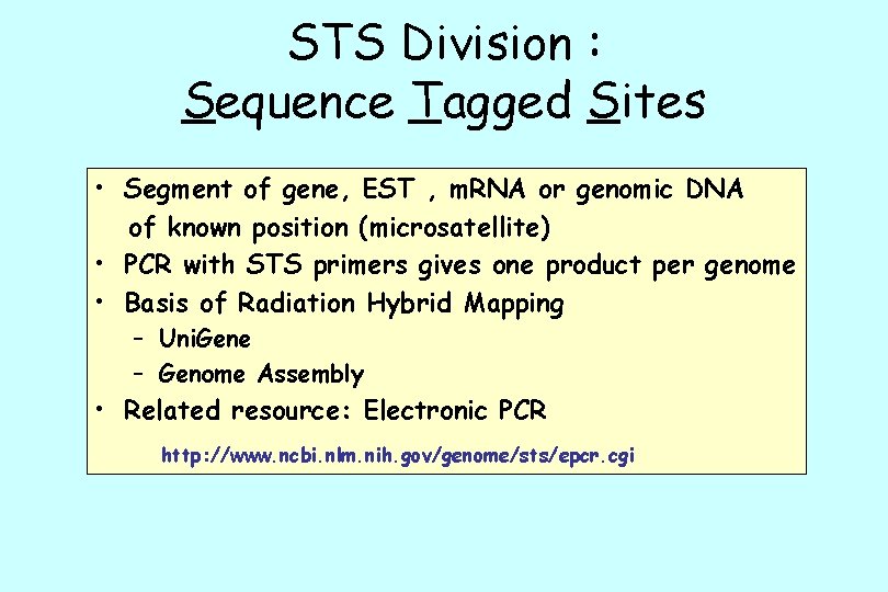 STS Division : Sequence Tagged Sites • Segment of gene, EST , m. RNA