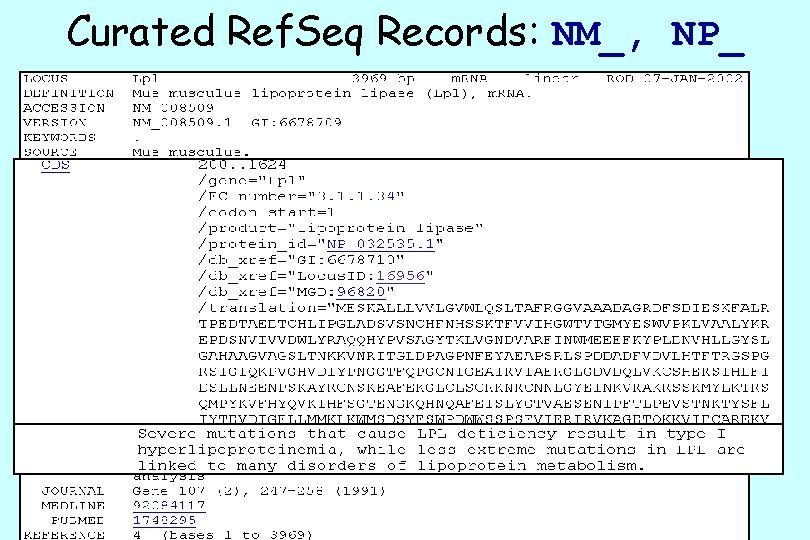Curated Ref. Seq Records: NM_, NP_ 