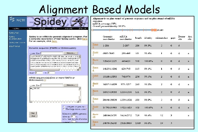 Alignment Based Models 