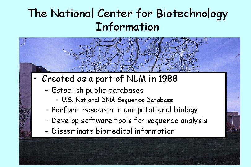 The National Center for Biotechnology Information • Created as a part of NLM in