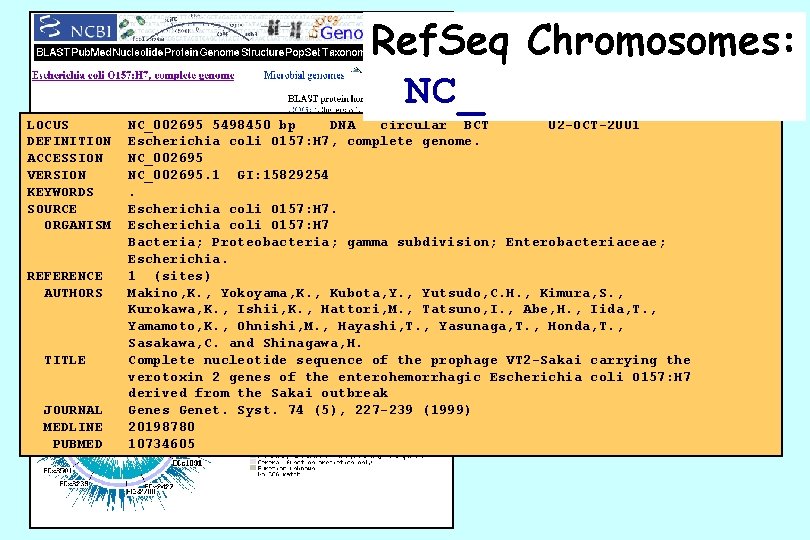 Ref. Seq Chromosomes: NC_ LOCUS DEFINITION ACCESSION VERSION KEYWORDS SOURCE ORGANISM REFERENCE AUTHORS TITLE