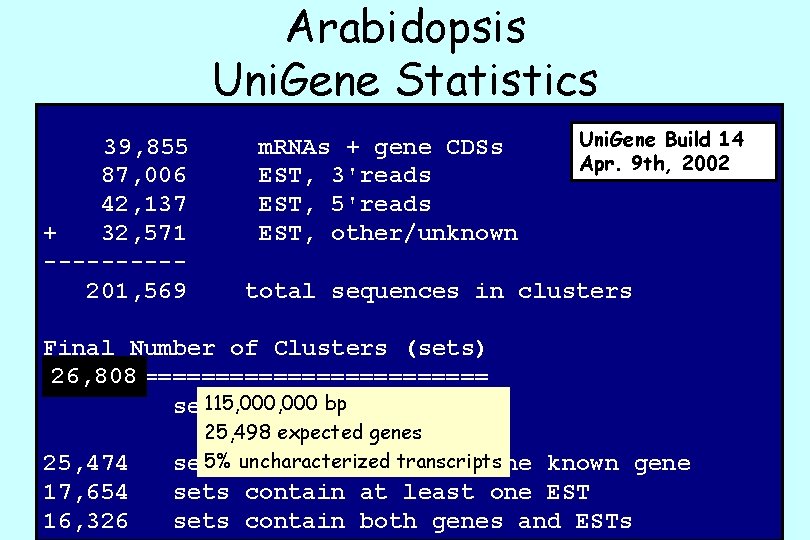 Arabidopsis Uni. Gene Statistics 39, 855 87, 006 42, 137 + 32, 571 -----201,