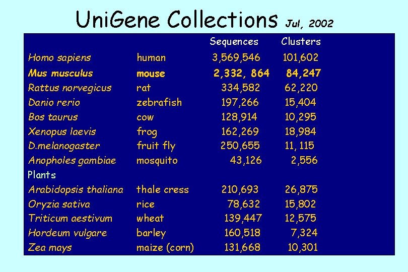 Uni. Gene Collections Jul, 2002 Sequences Clusters Homo sapiens human 3, 569, 546 101,