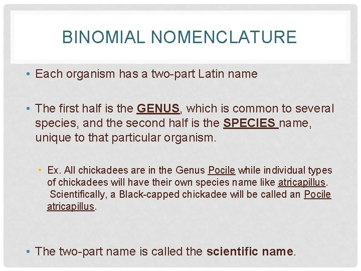 BINOMIAL NOMENCLATURE • Each organism has a two-part Latin name • The first half