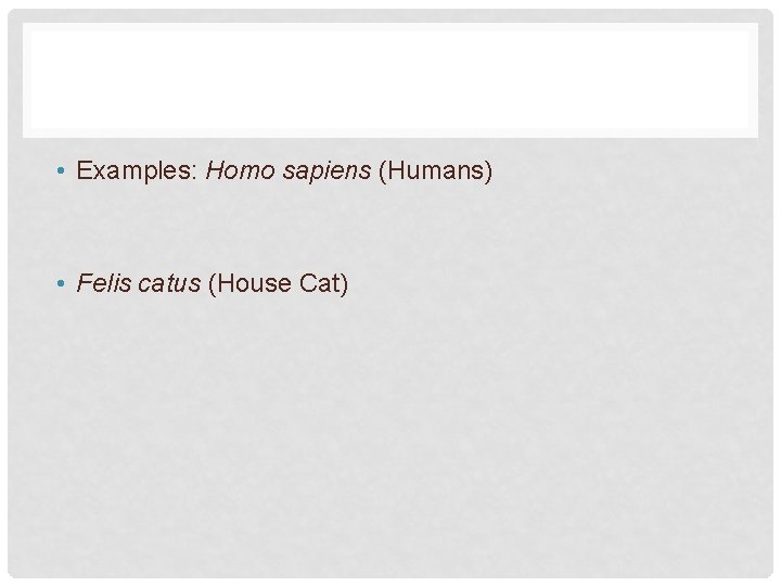  • Examples: Homo sapiens (Humans) • Felis catus (House Cat) 