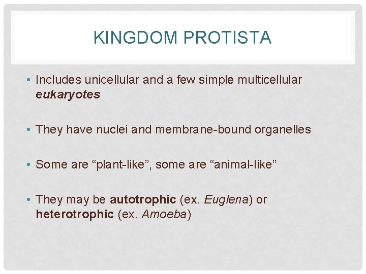 KINGDOM PROTISTA • Includes unicellular and a few simple multicellular eukaryotes • They have