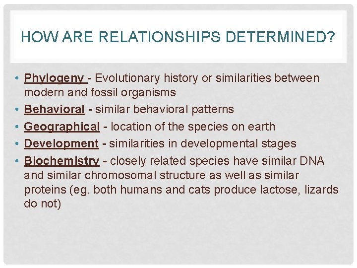 HOW ARE RELATIONSHIPS DETERMINED? • Phylogeny - Evolutionary history or similarities between modern and