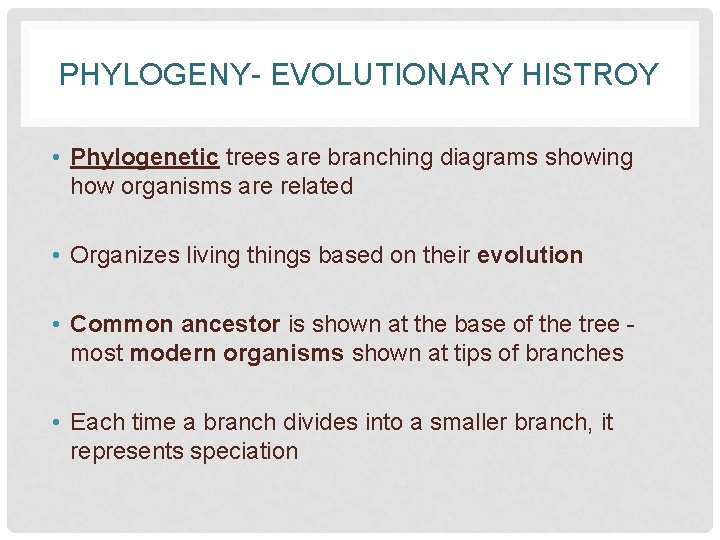 PHYLOGENY- EVOLUTIONARY HISTROY • Phylogenetic trees are branching diagrams showing how organisms are related