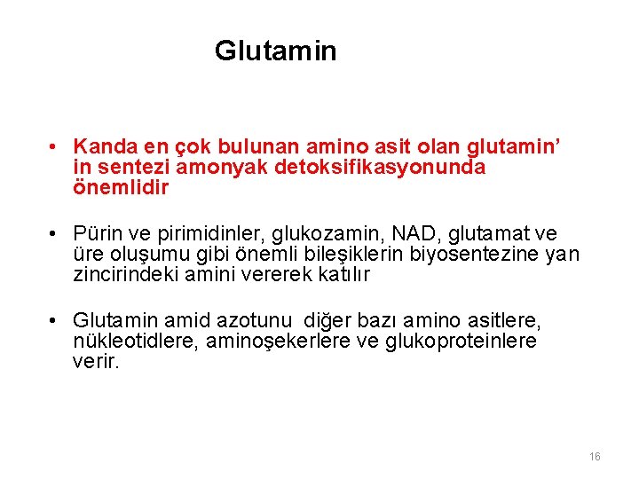 Glutamin • Kanda en çok bulunan amino asit olan glutamin’ in sentezi amonyak detoksifikasyonunda