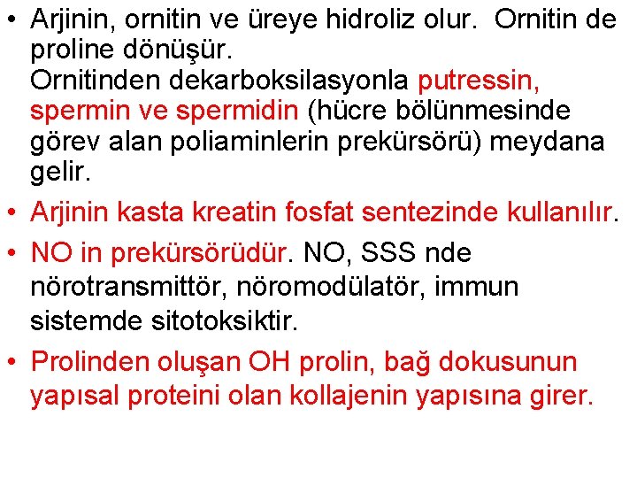  • Arjinin, ornitin ve üreye hidroliz olur. Ornitin de proline dönüşür. Ornitinden dekarboksilasyonla