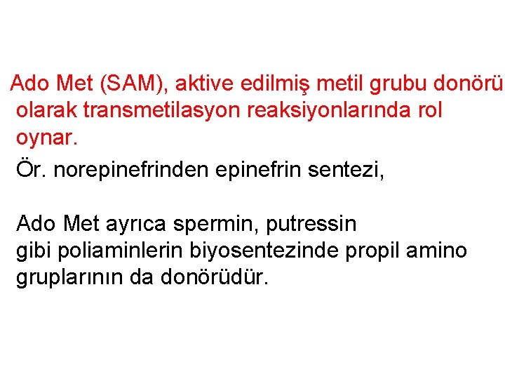 Ado Met (SAM), aktive edilmiş metil grubu donörü olarak transmetilasyon reaksiyonlarında rol oynar. Ör.