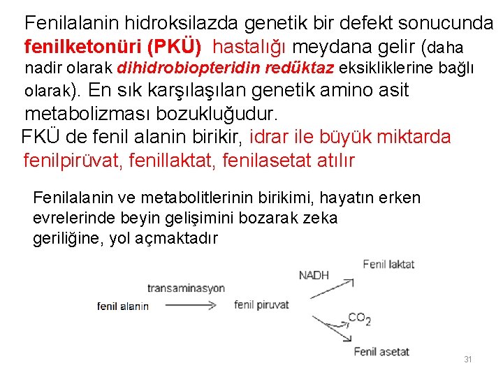 Fenilalanin hidroksilazda genetik bir defekt sonucunda fenilketonüri (PKÜ) hastalığı meydana gelir (daha nadir olarak