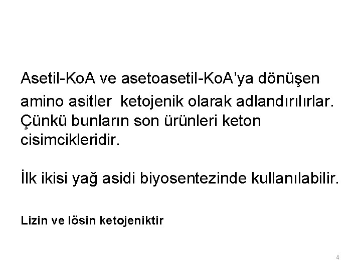 Asetil-Ko. A ve asetoasetil-Ko. A’ya dönüşen amino asitler ketojenik olarak adlandırılırlar. Çünkü bunların son