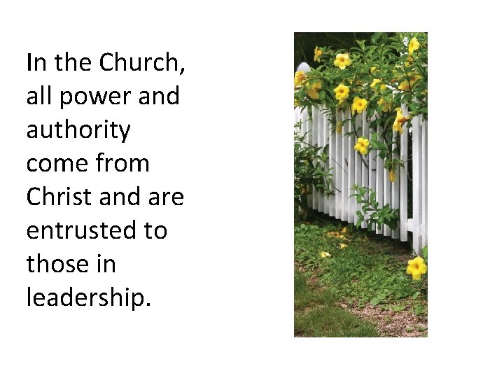 In the Church, all power and authority come from Christ and are entrusted to