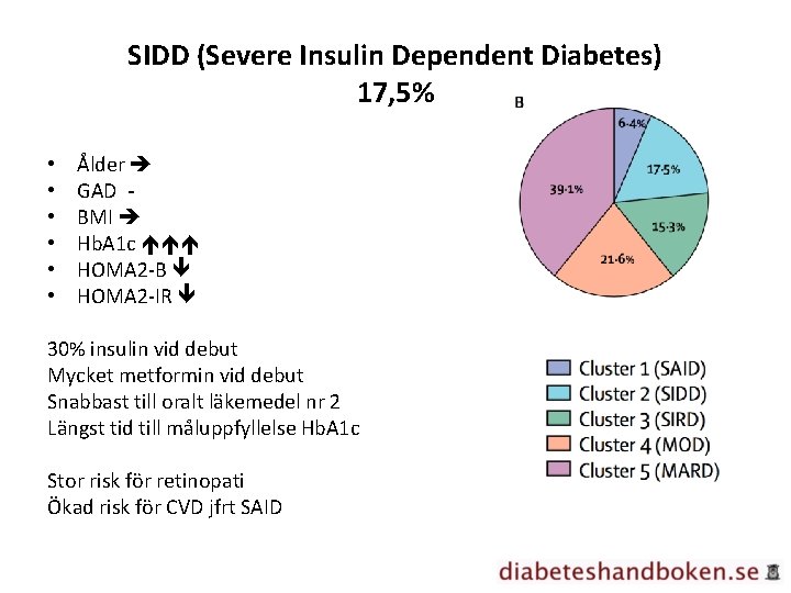 SIDD (Severe Insulin Dependent Diabetes) 17, 5% • • • Ålder GAD BMI Hb.