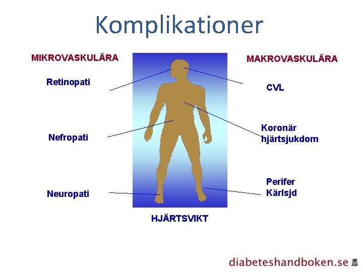 Komplikationer MIKROVASKULÄRA MAKROVASKULÄRA Retinopati CVL Koronär hjärtsjukdom Nefropati Perifer Kärlsjd Neuropati HJÄRTSVIKT 