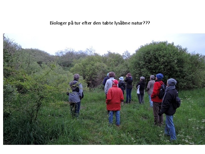 Biologer på tur efter den tabte lysåbne natur? ? ? 