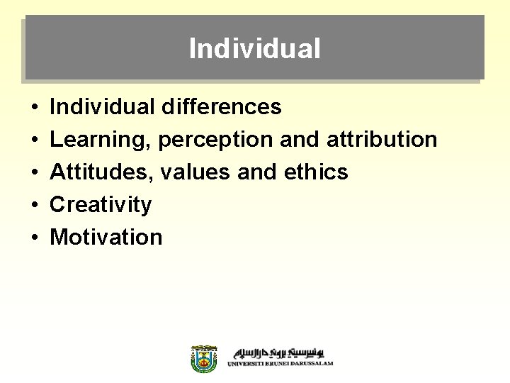 Individual • • • Individual differences Learning, perception and attribution Attitudes, values and ethics