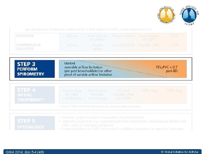 GINA 2014, Box 5 -4 (4/6) © Global Initiative for Asthma 