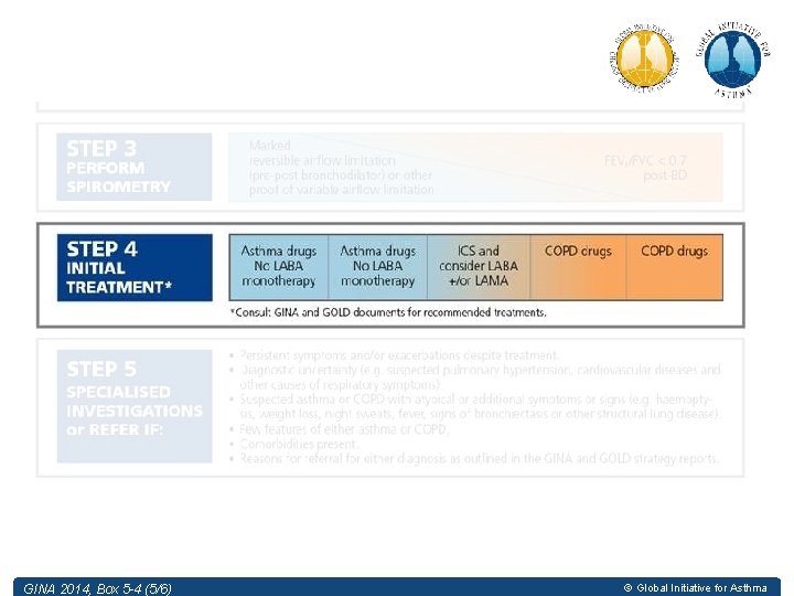 GINA 2014, Box 5 -4 (5/6) © Global Initiative for Asthma 