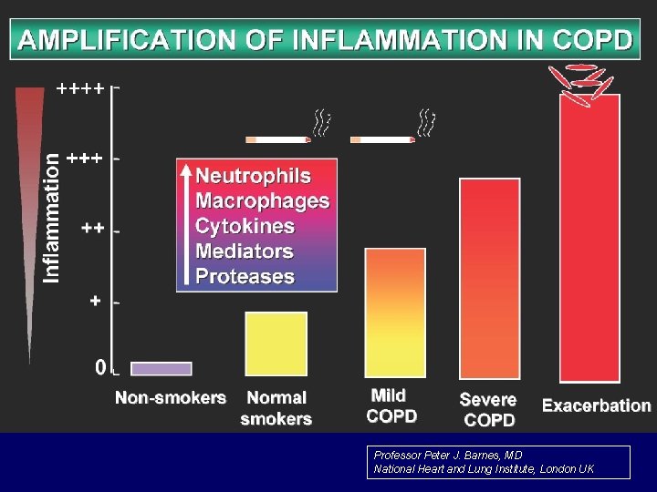 Professor Peter J. Barnes, MD National Heart and Lung Institute, London UK 