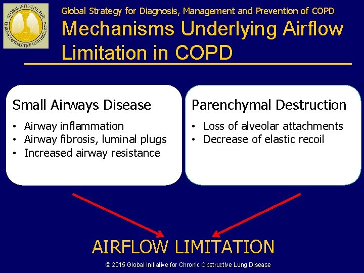 Global Strategy for Diagnosis, Management and Prevention of COPD Mechanisms Underlying Airflow Limitation in