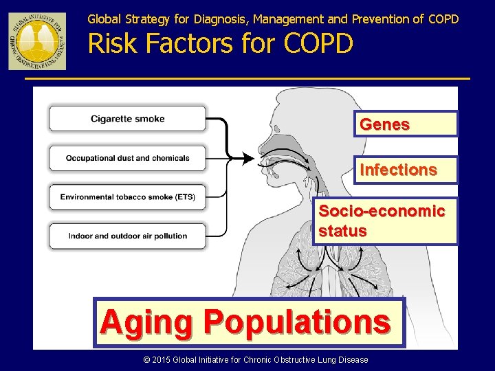 Global Strategy for Diagnosis, Management and Prevention of COPD Risk Factors for COPD Genes