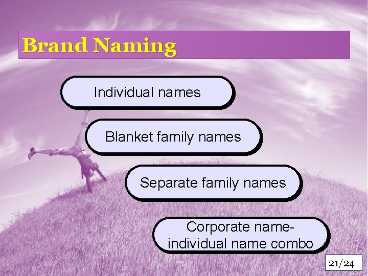 Brand Naming Individual names Blanket family names Separate family names Corporate nameindividual name combo