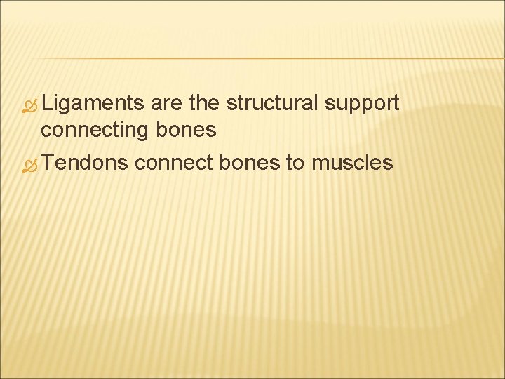  Ligaments are the structural support connecting bones Tendons connect bones to muscles 