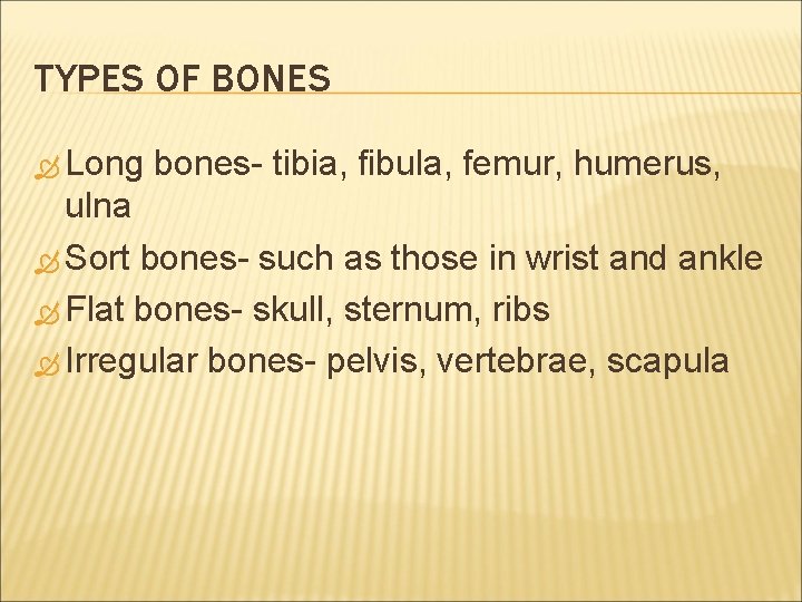 TYPES OF BONES Long bones- tibia, fibula, femur, humerus, ulna Sort bones- such as