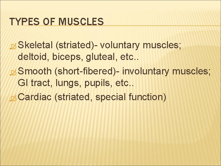 TYPES OF MUSCLES Skeletal (striated)- voluntary muscles; deltoid, biceps, gluteal, etc. . Smooth (short-fibered)-