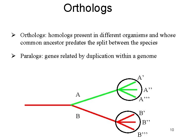 Orthologs Ø Orthologs: homologs present in different organisms and whose common ancestor predates the