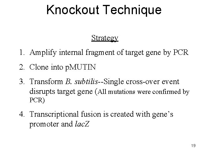 Knockout Technique Strategy 1. Amplify internal fragment of target gene by PCR 2. Clone