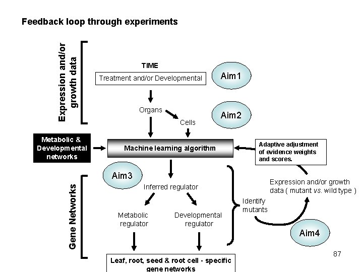 Expression and/or growth data Feedback loop through experiments Metabolic & Developmental networks TIME Treatment