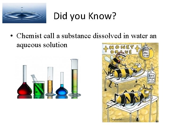 Did you Know? • Chemist call a substance dissolved in water an aqueous solution