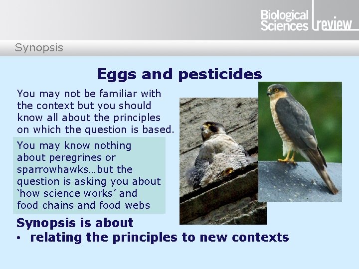 Synopsis Eggs and pesticides You may not be familiar with the context but you