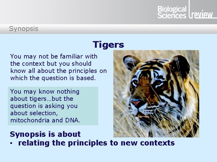 Synopsis Tigers You may not be familiar with the context but you should know