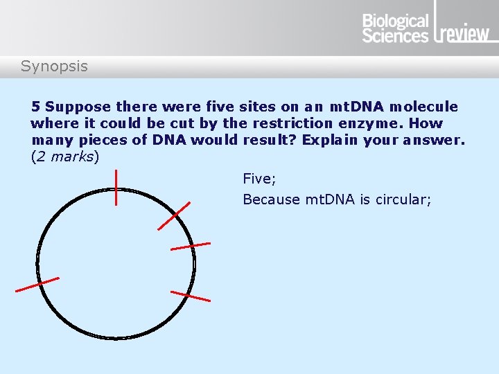 Synopsis 5 Suppose there were five sites on an mt. DNA molecule where it