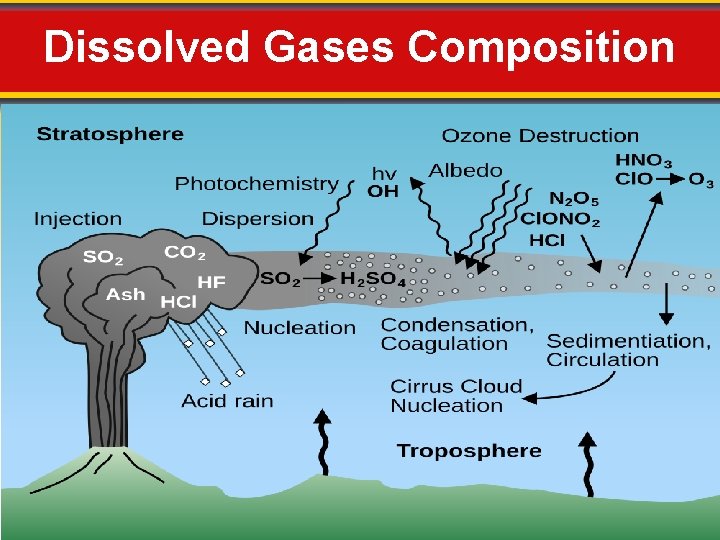 Dissolved Gases Composition 