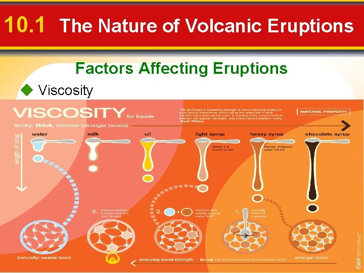 10. 1 The Nature of Volcanic Eruptions Factors Affecting Eruptions Viscosity 
