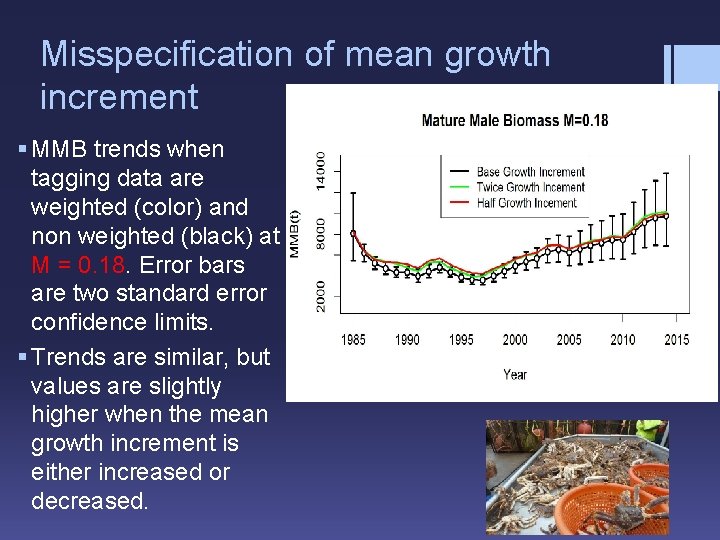 Misspecification of mean growth increment § MMB trends when tagging data are weighted (color)