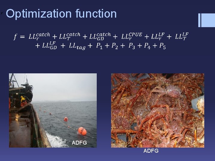 Optimization function ADFG 