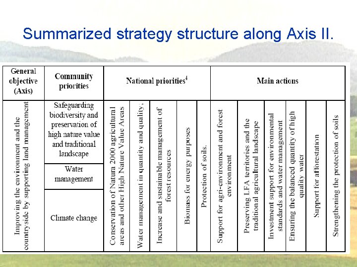 Summarized strategy structure along Axis II. 