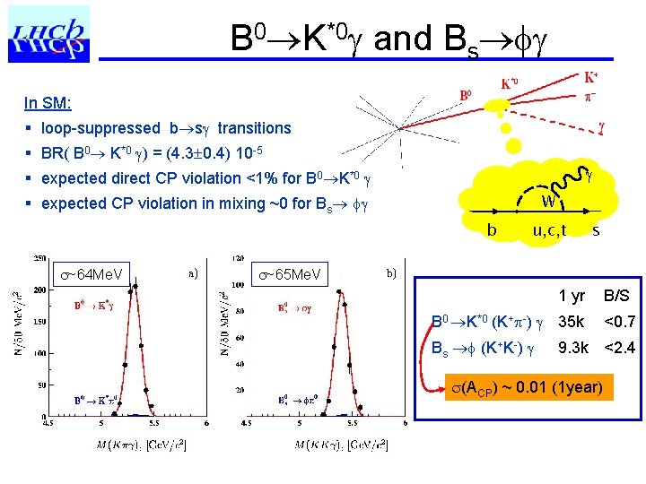 B 0 K*0 and Bs In SM: § loop-suppressed b s transitions § BR(