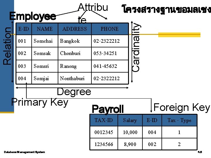 โครงสรางฐานขอมลเชง Cardinality Relation Employee Attribu te E-ID NAME ADDRESS PHONE 001 Somchai Bangkok 02