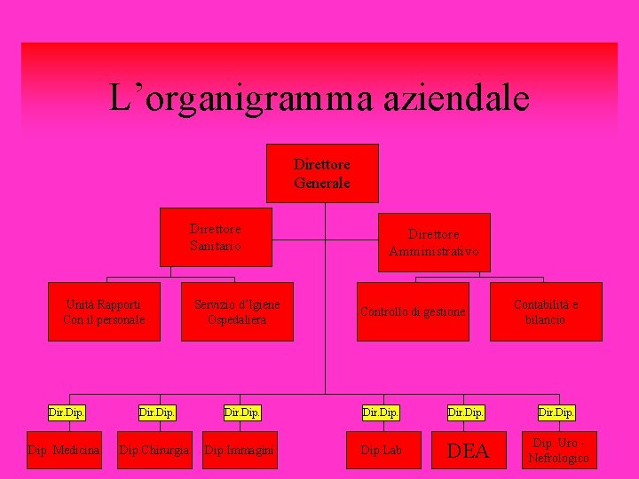 L’organigramma aziendale Direttore Generale Direttore Sanitario Unità Rapporti Con il personale Servizio d’Igiene Ospedaliera